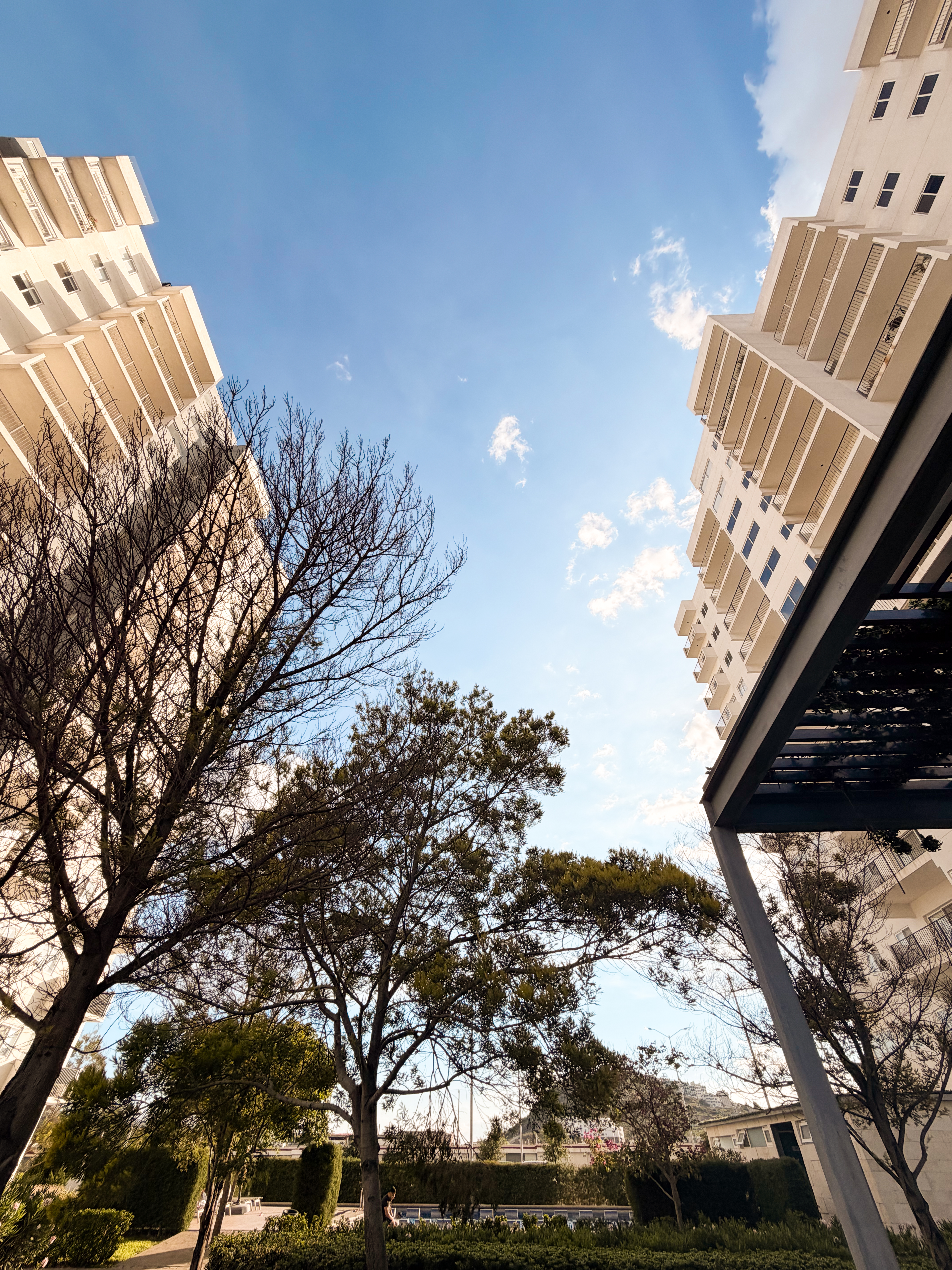 Stacia Towers